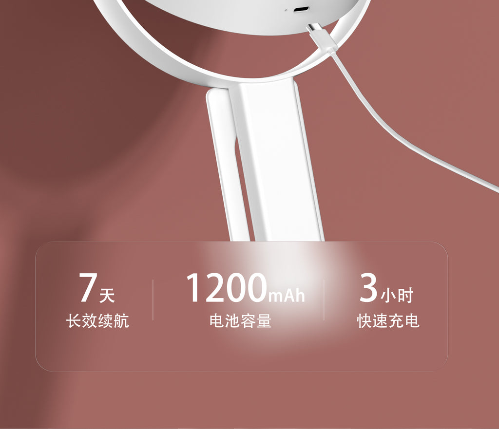 Handheld Double-Sided LED Makeup Mirror with Light 10x Magnifying Mirror