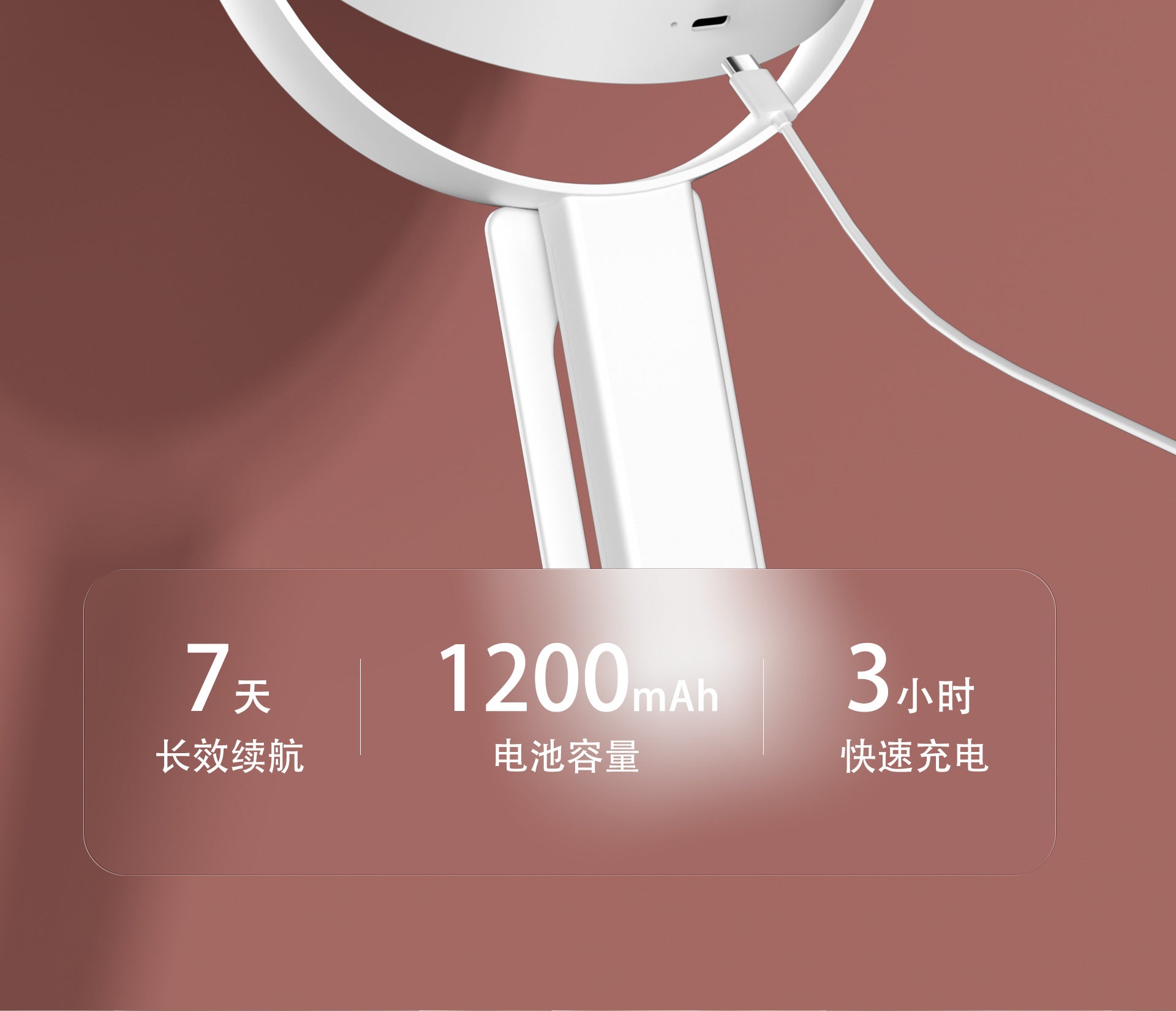 Handheld Double-Sided LED Makeup Mirror with Light 10x Magnifying Mirror